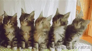 2f4fc000693092ab21c9b.gif