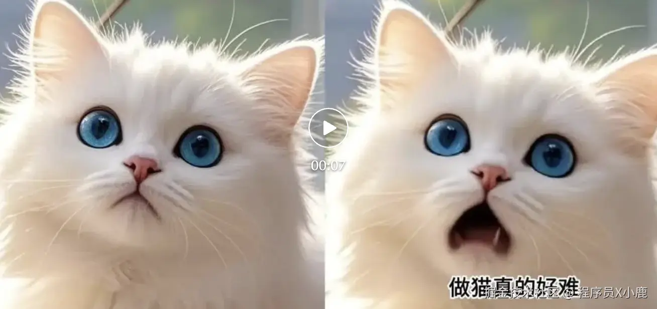 截屏2024-11-08 16.21.10.png