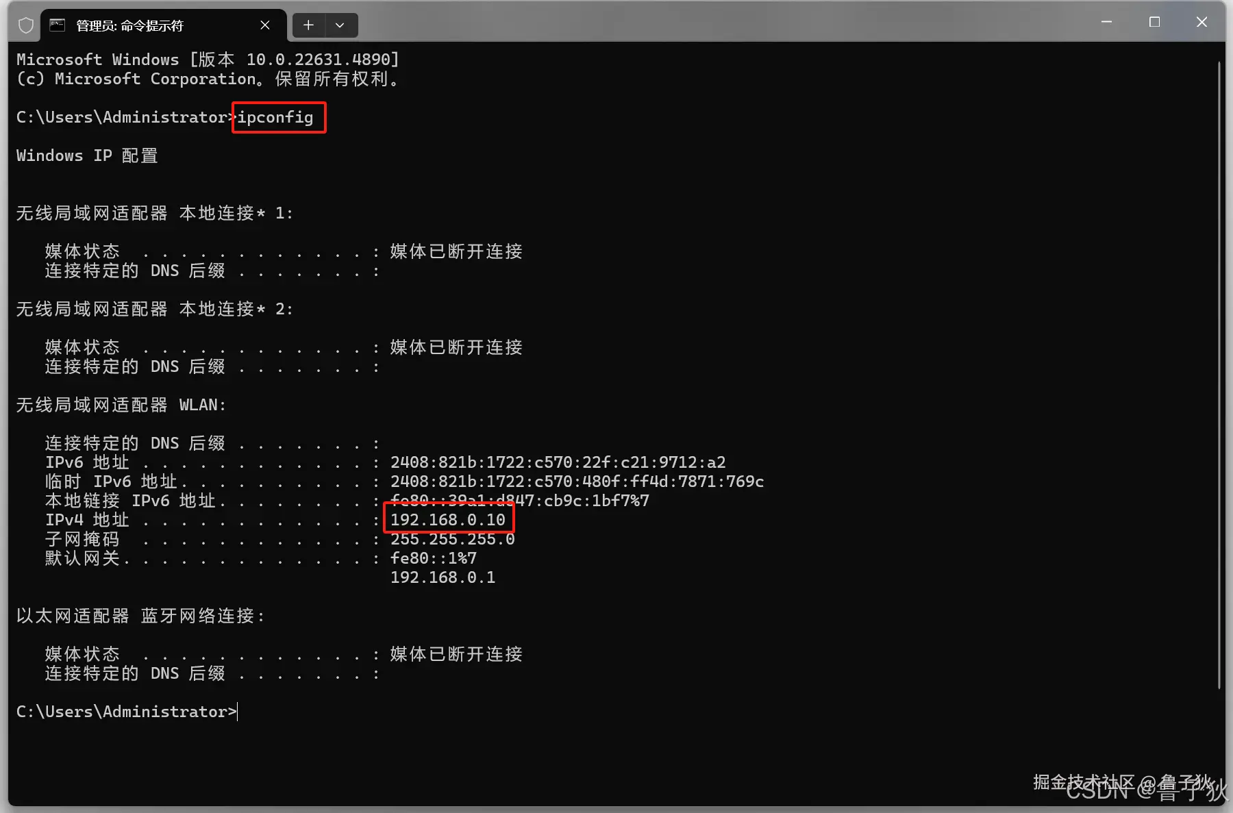 在这里插入图片描述