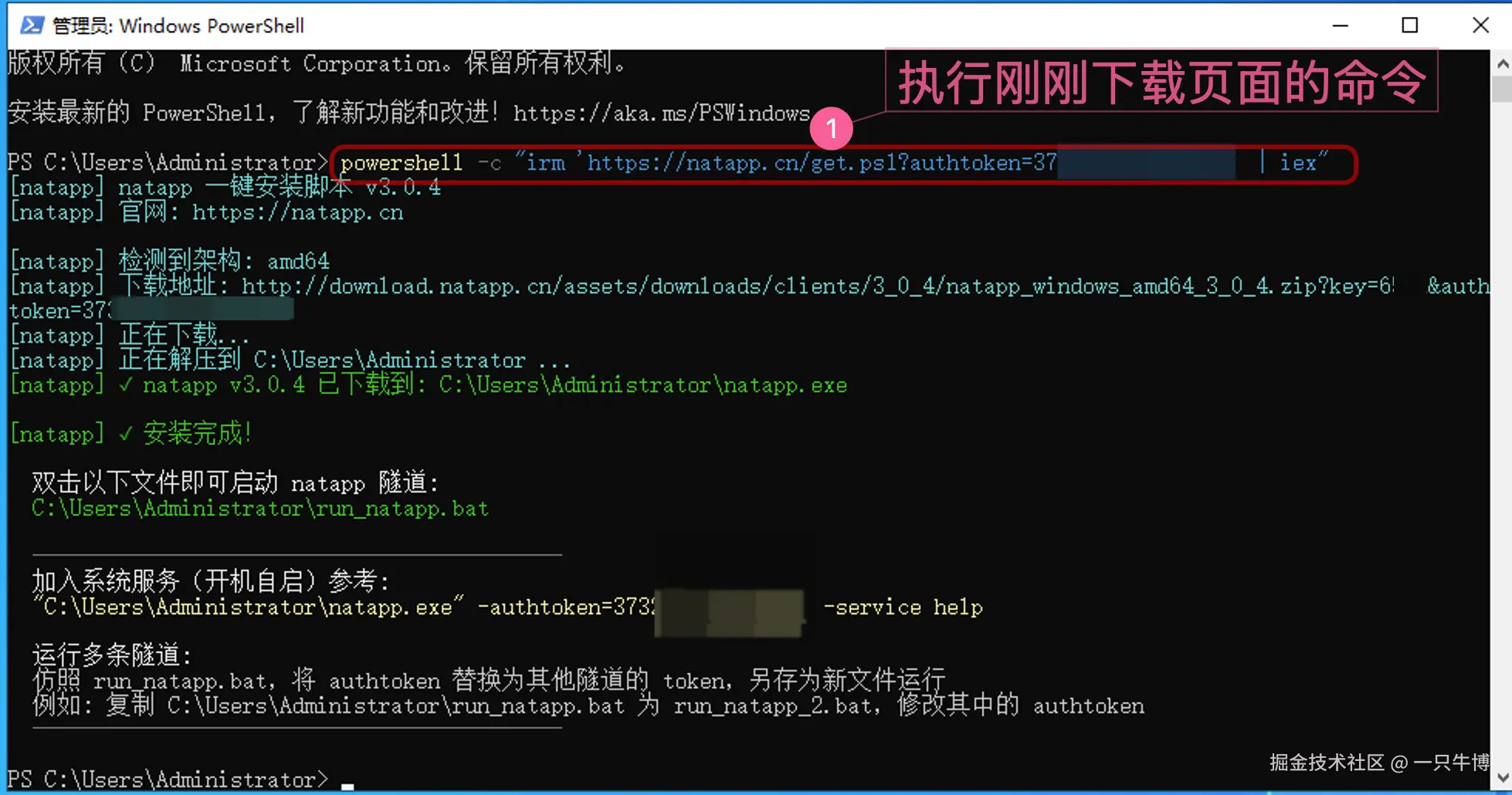 Windows 命令行一键安装 Natapp 客户端
