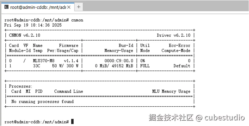 Pod 内查看占用的卡