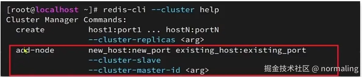 image-20240801211959570