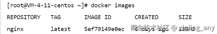 image-20240821103820129
