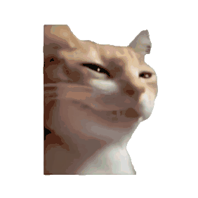 f772eb1a57f741cdbfa9842c269657af.gif
