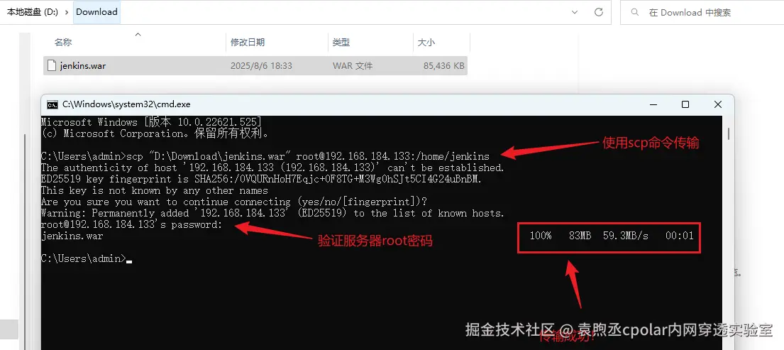 image-20250806184204955