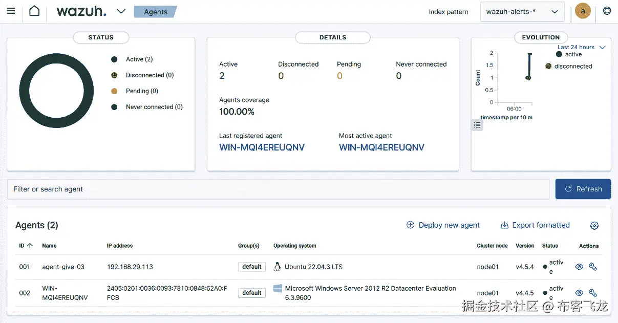 图 6.9 – Wazuh Agents 标签