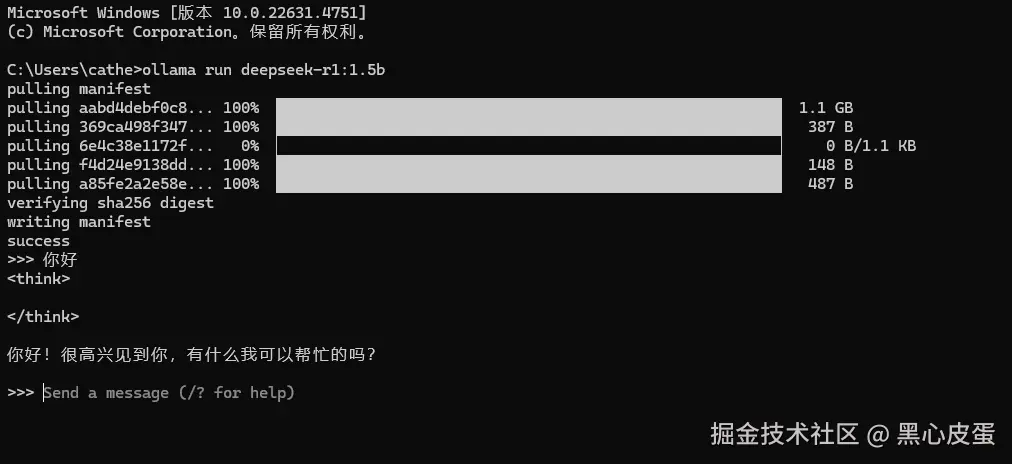 image-20250205224529021.png