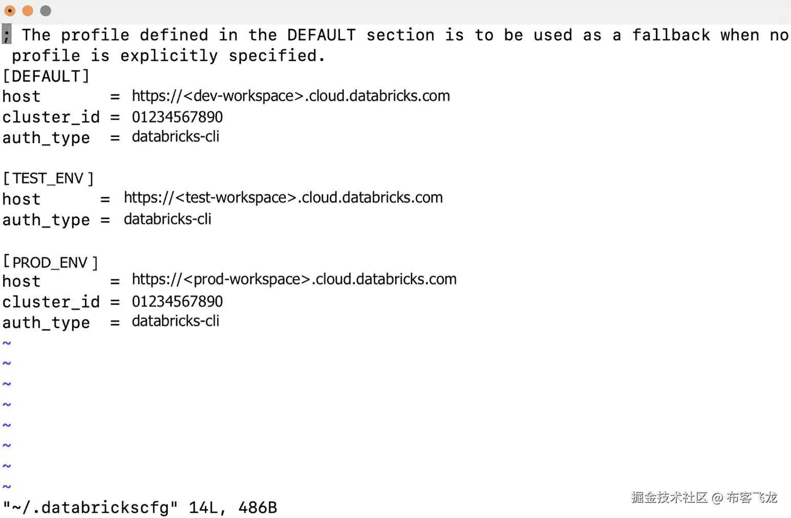 图 9.4 – 多个 Databricks 配置文件保存到本地配置文件的示例