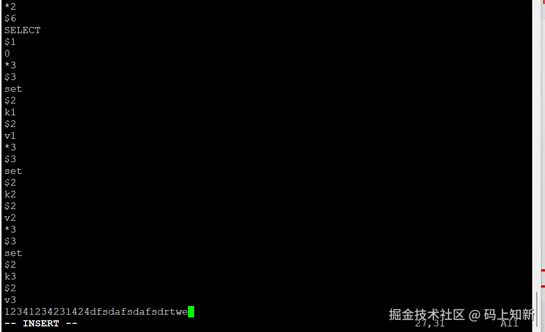 image-20240427222013843