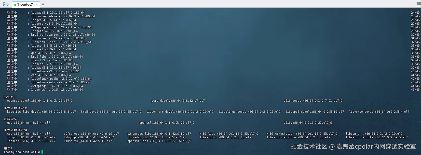 image-20250805164957317