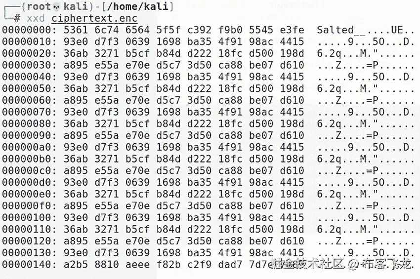 图 6.2 – 十六进制转储揭示了一个模式