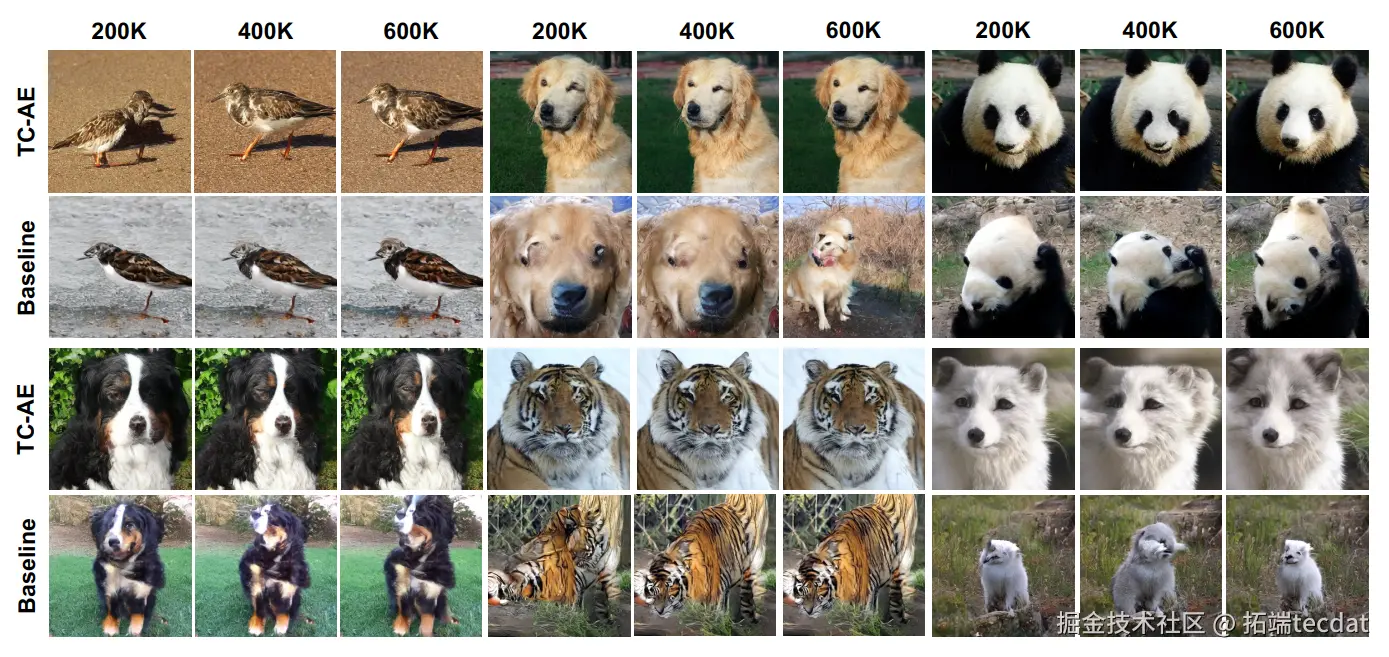 图7 生成图像视觉效果