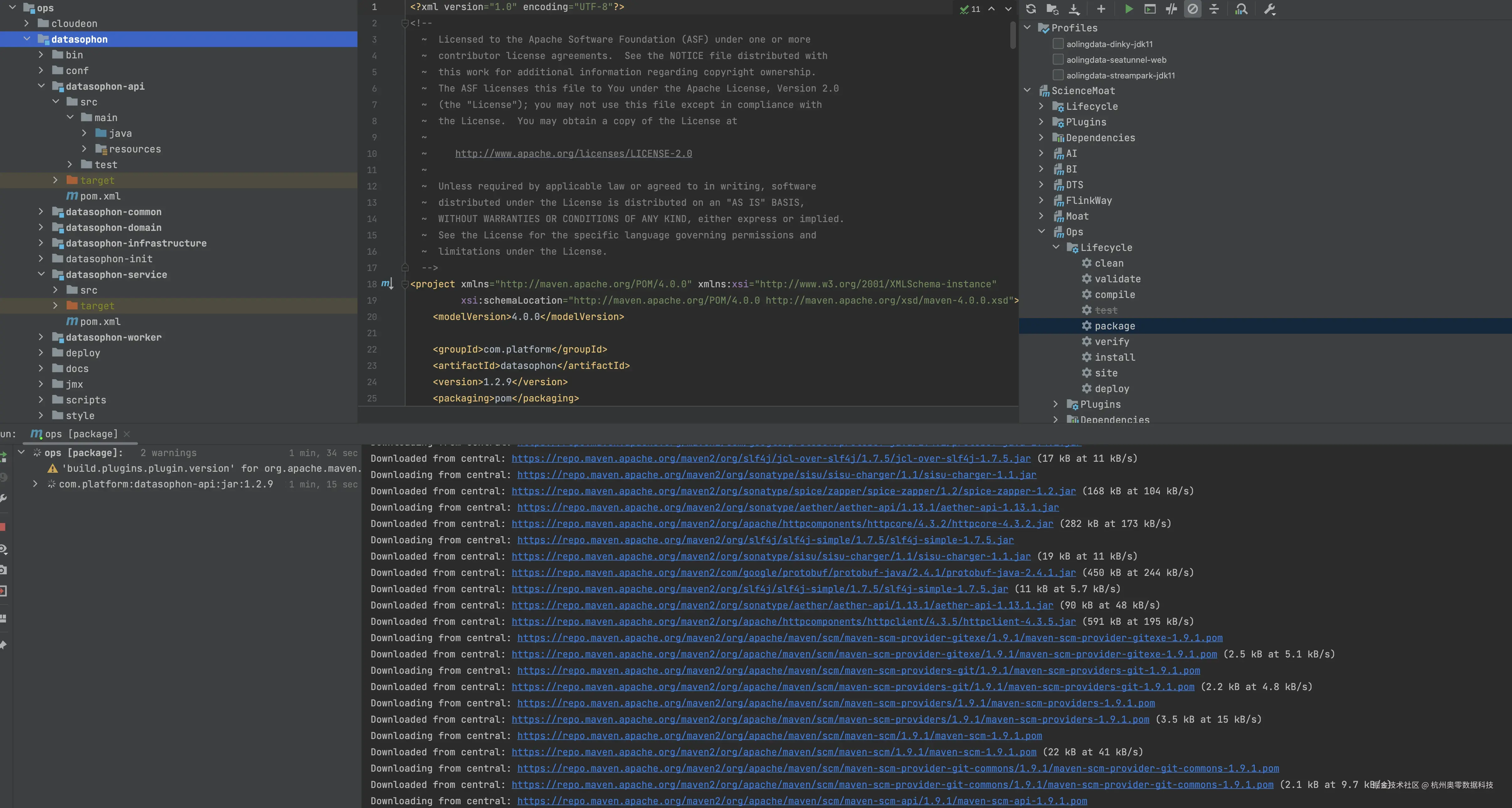 5_IDEA执行Maven Package打包.png
