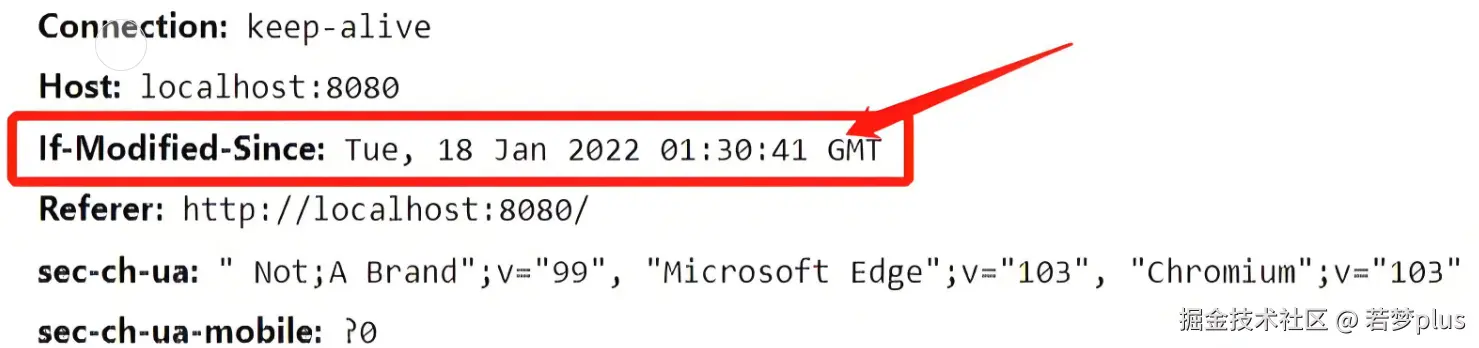 image-20240724152304503