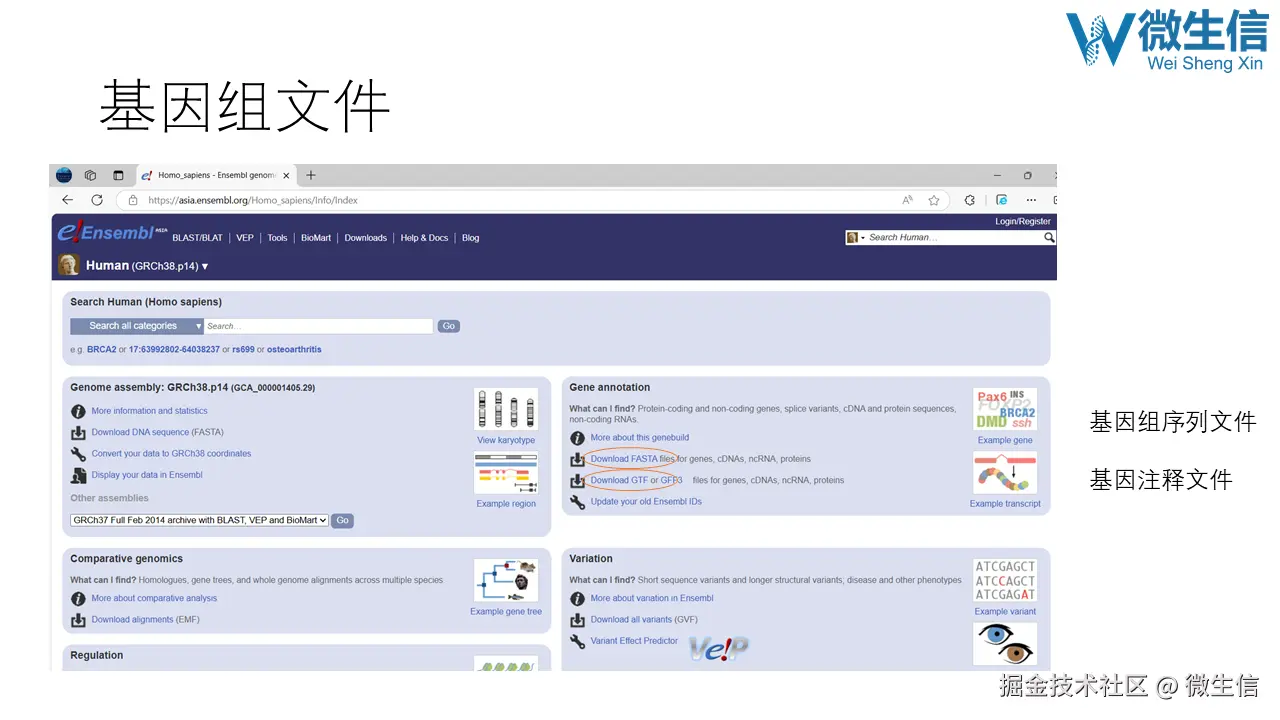 幻灯片3.PNG