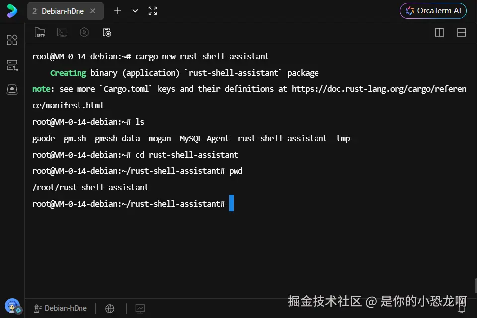 Cargo 创建新项目后的终端输出