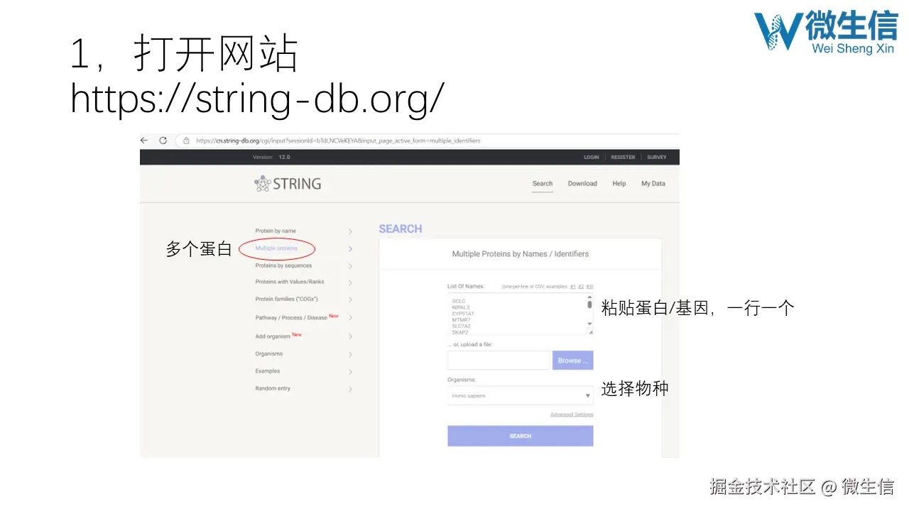 幻灯片4.PNG