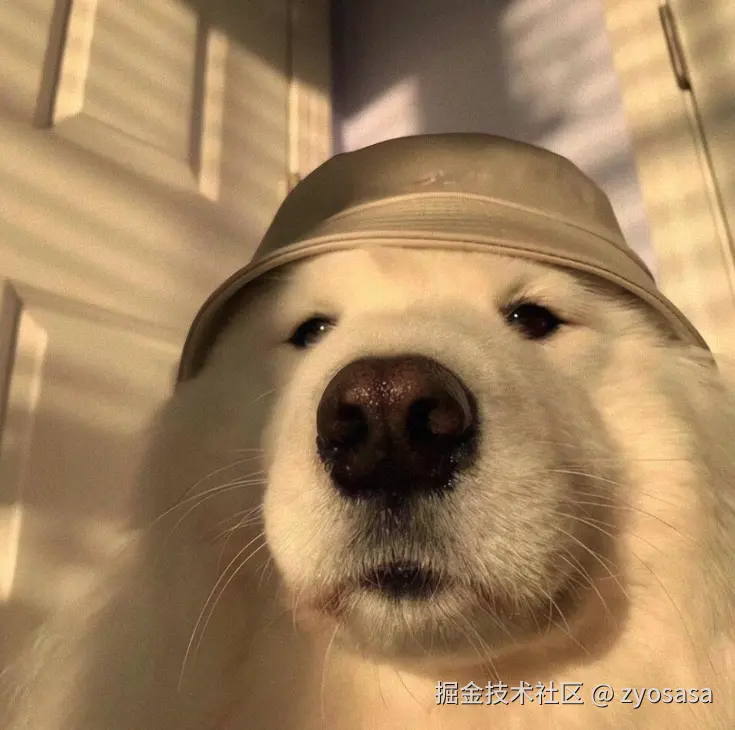 CleanShot 2024-10-26 at 19.49.47.png