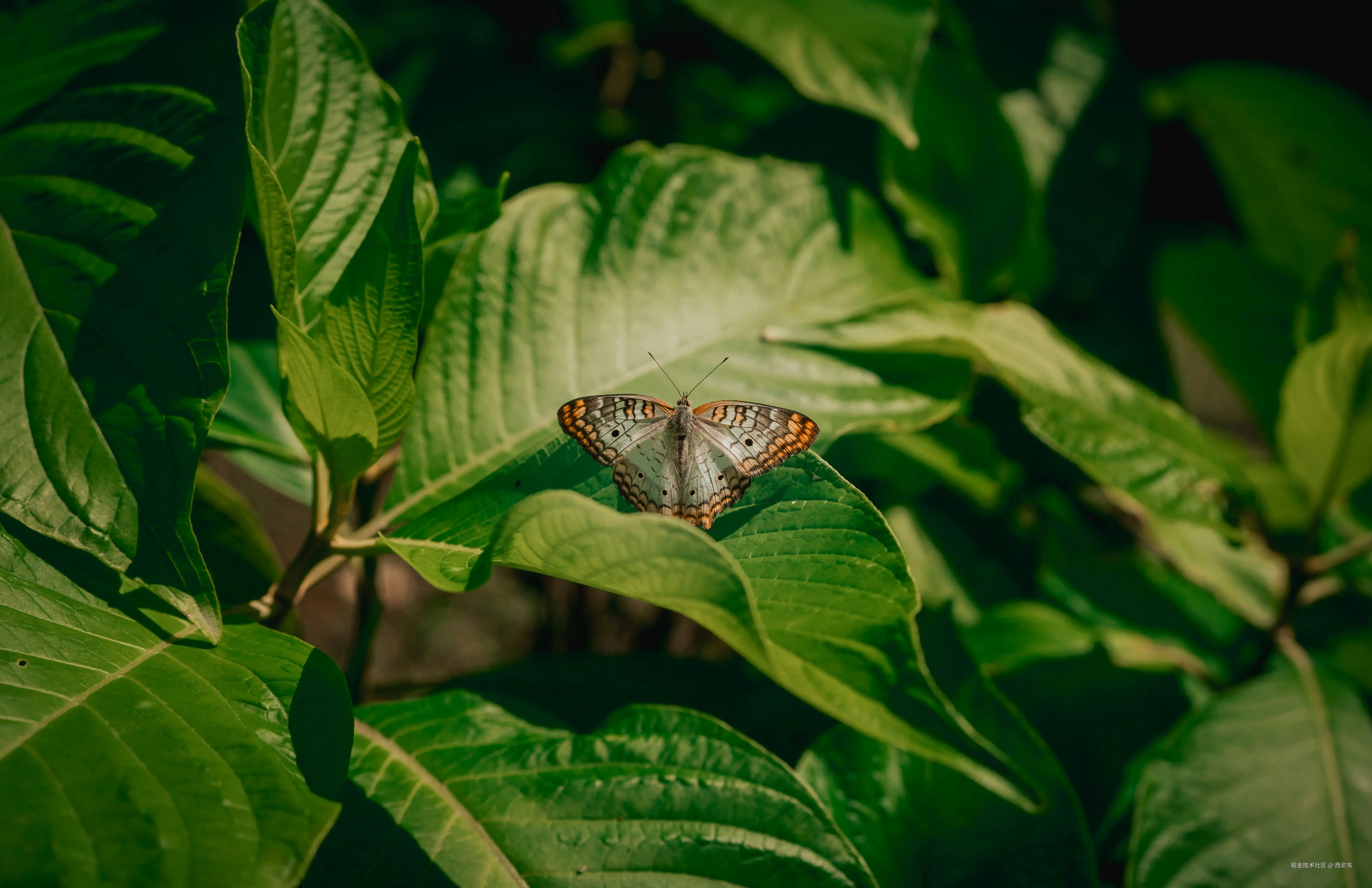 mike-cox-uDdw5eoXPjE-unsplash.jpg