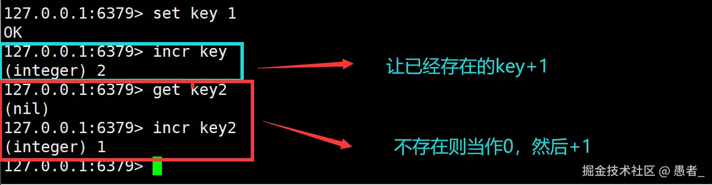 image-20240702141635099