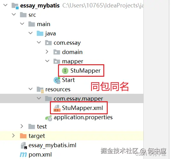 在这里插入图片描述