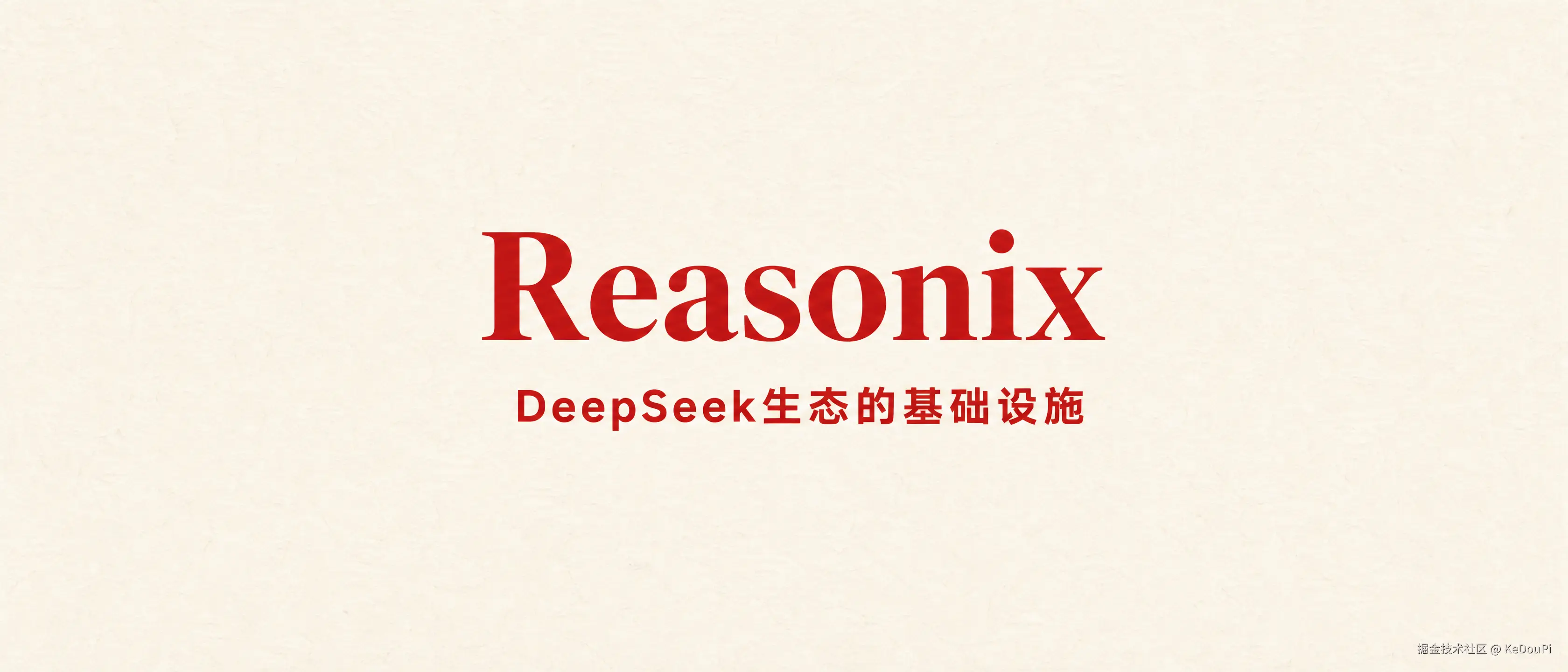 Reasonix基础设施