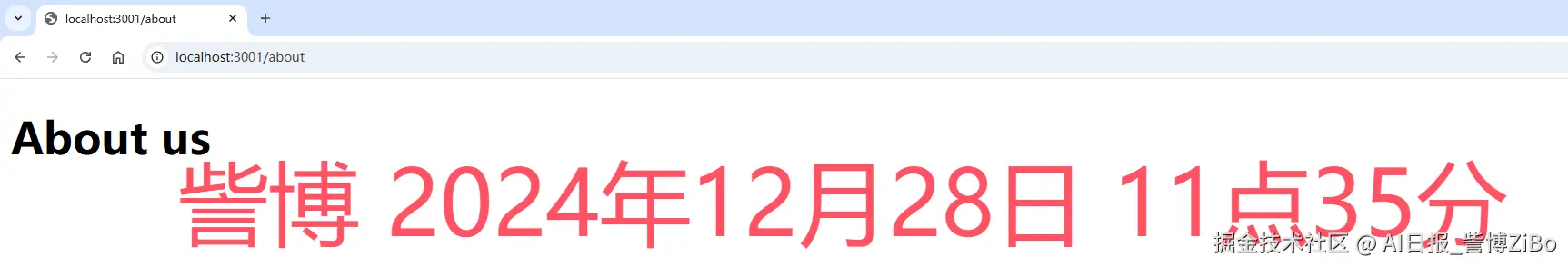 image-20241228113546789