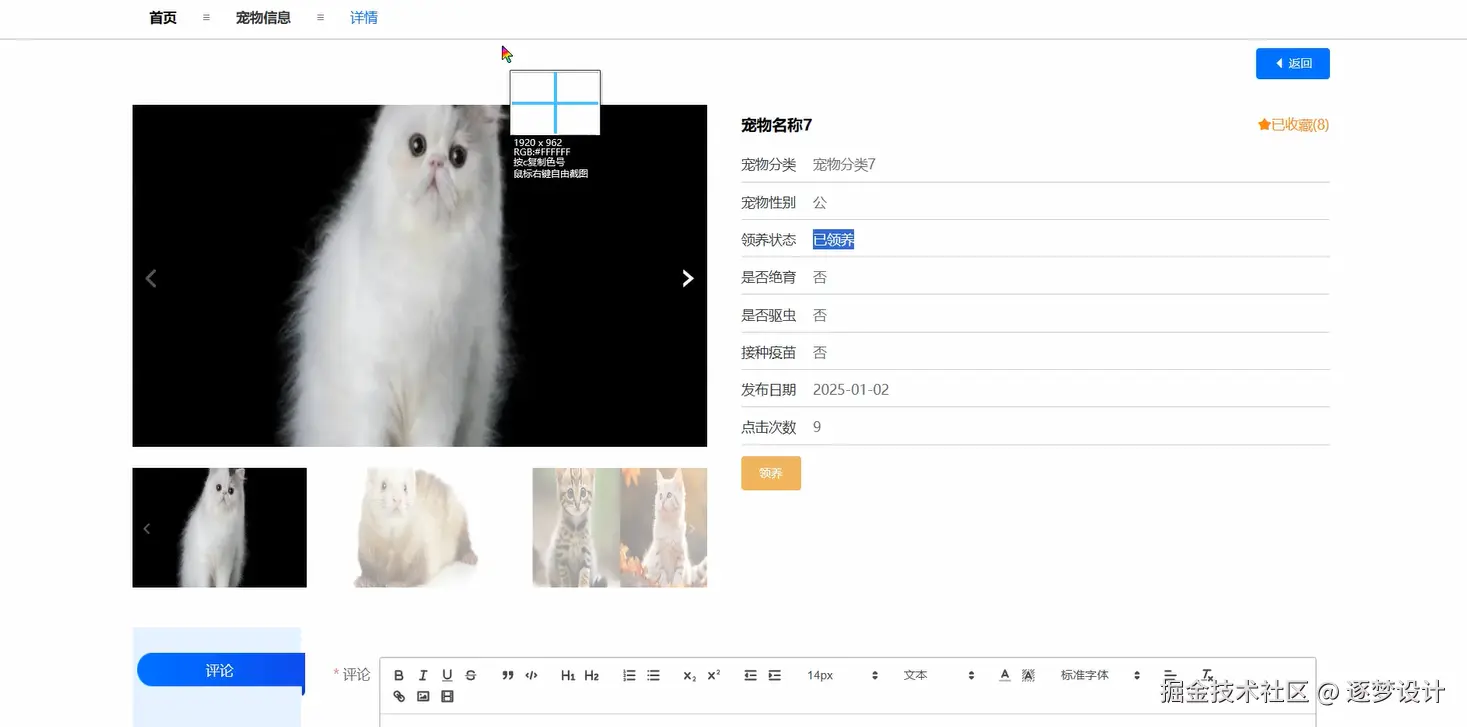 Snipaste_2025-07-05_11-17-25.png