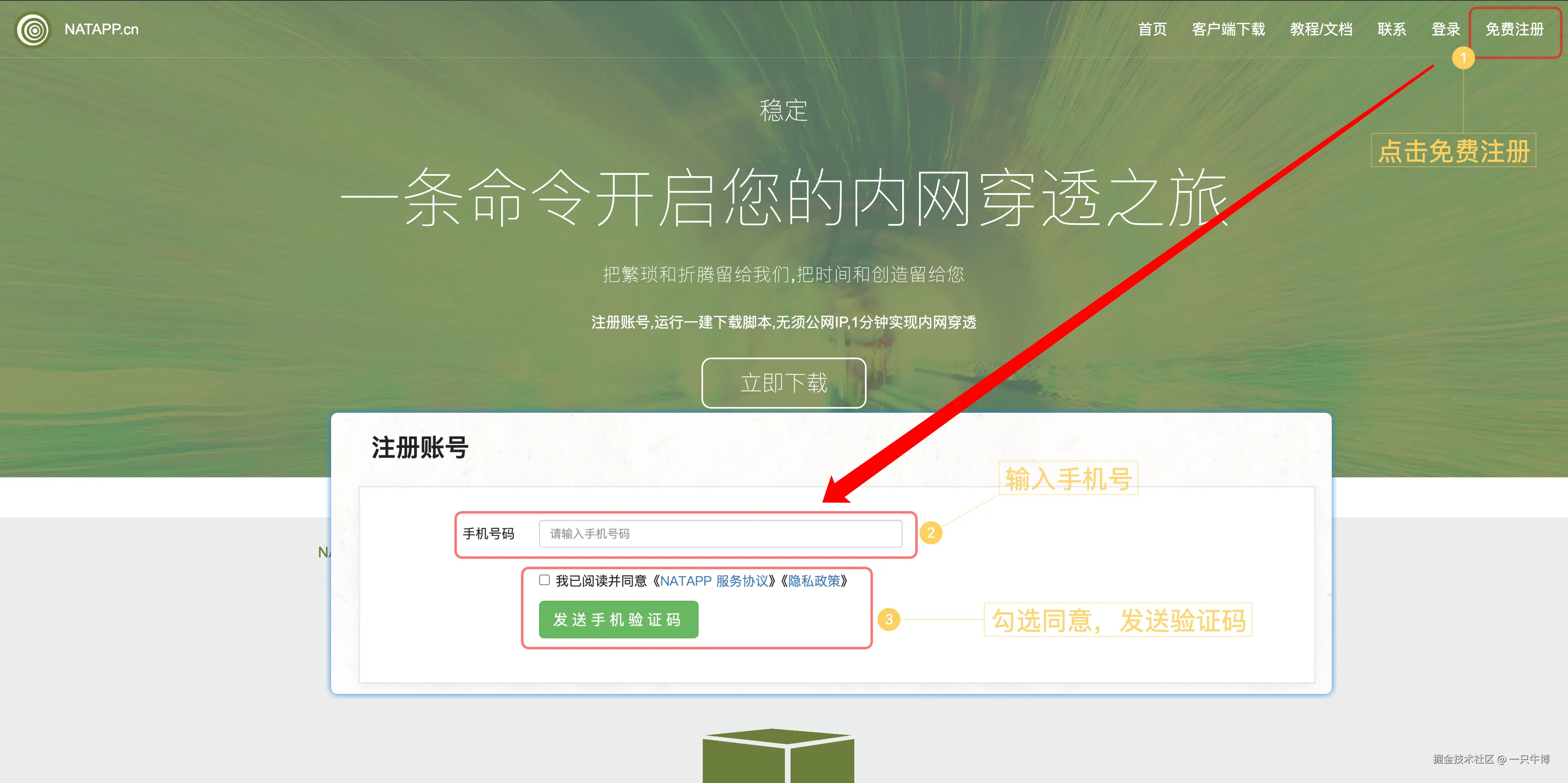 Natapp 首页的免费注册入口