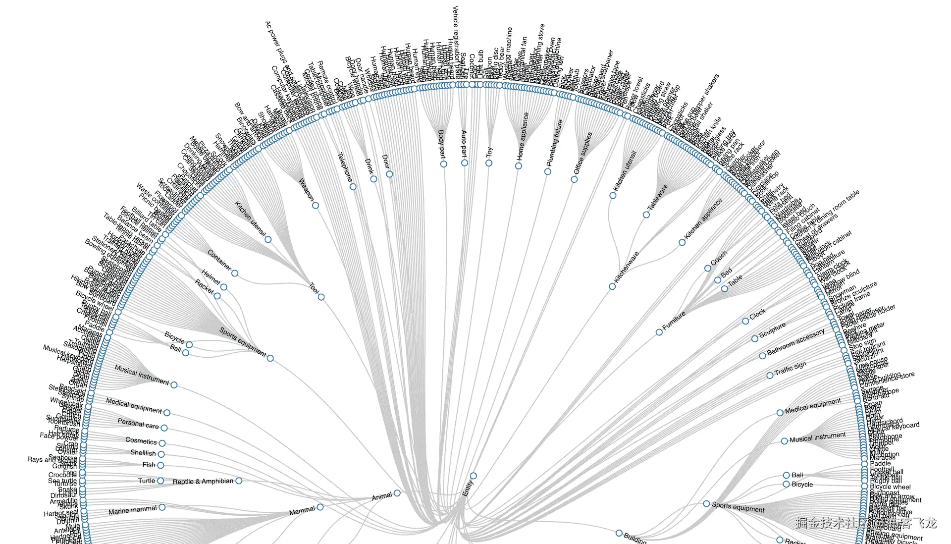 Open Images V7 类别可视化