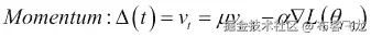 动量