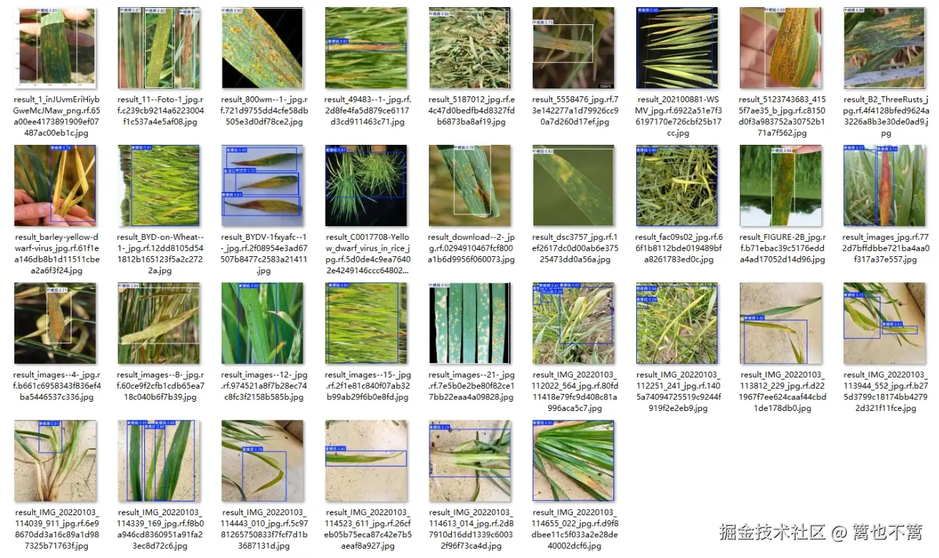 image-20260113003005164