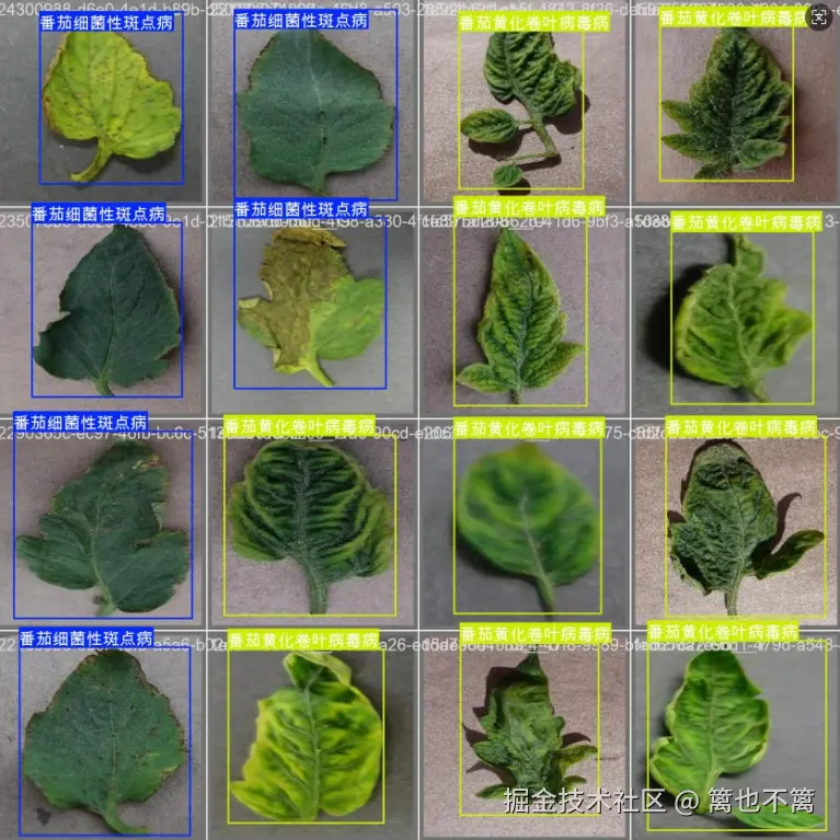 image-20251107210054183