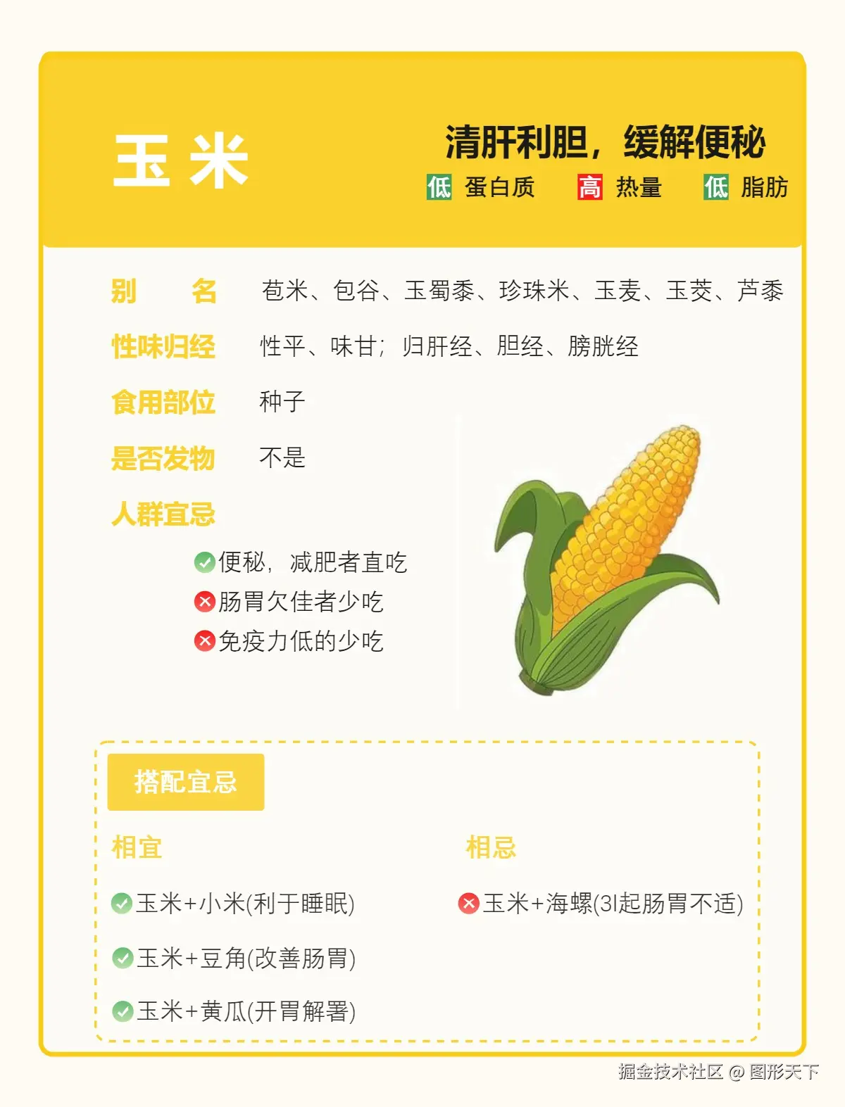 食物科普之玉米.jpg