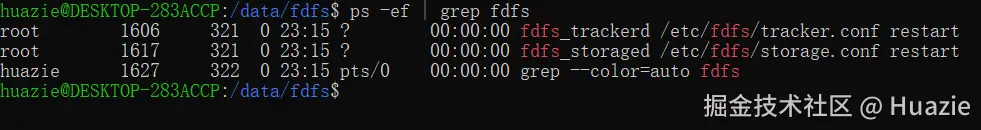 ps-ef.png