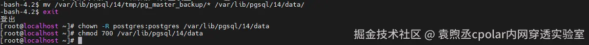 image-20260212145847538