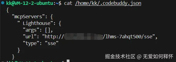 查看 Codebuddy 配置文件