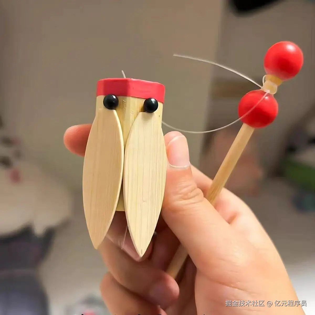 Bamboo Cicada, image from the internet