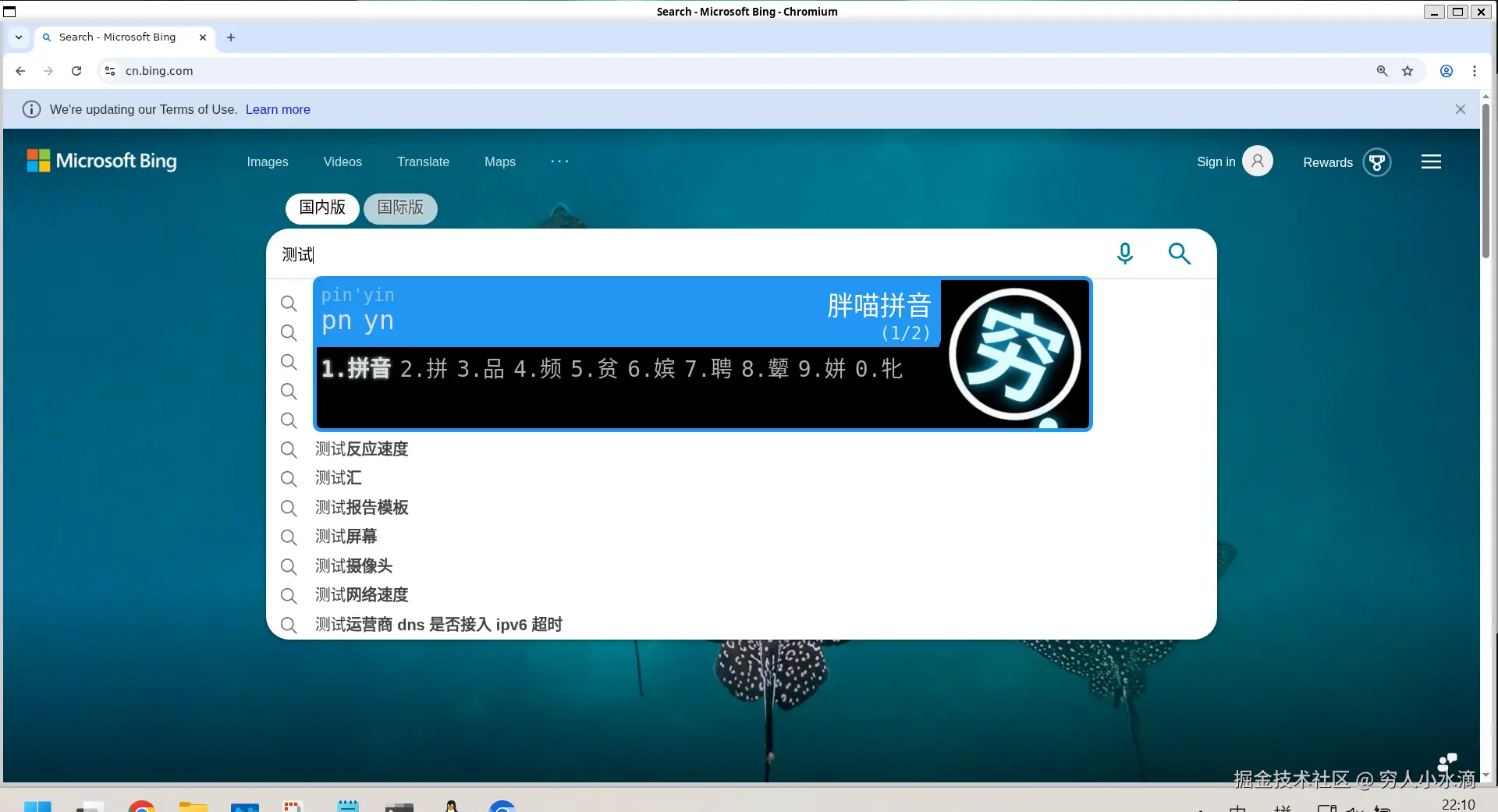 43-chromium-8.png