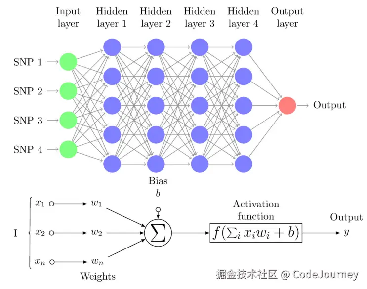 image-20241110170955982