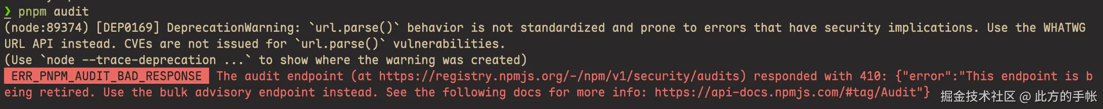 pnpm audit 时出现的错误信息