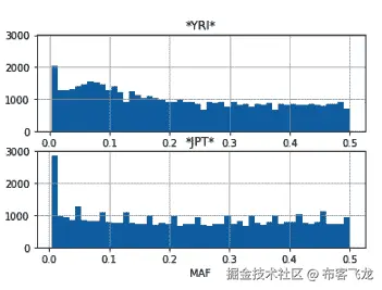 图 6.5 - YRI 和 JPT 人群的 MAF 直方图