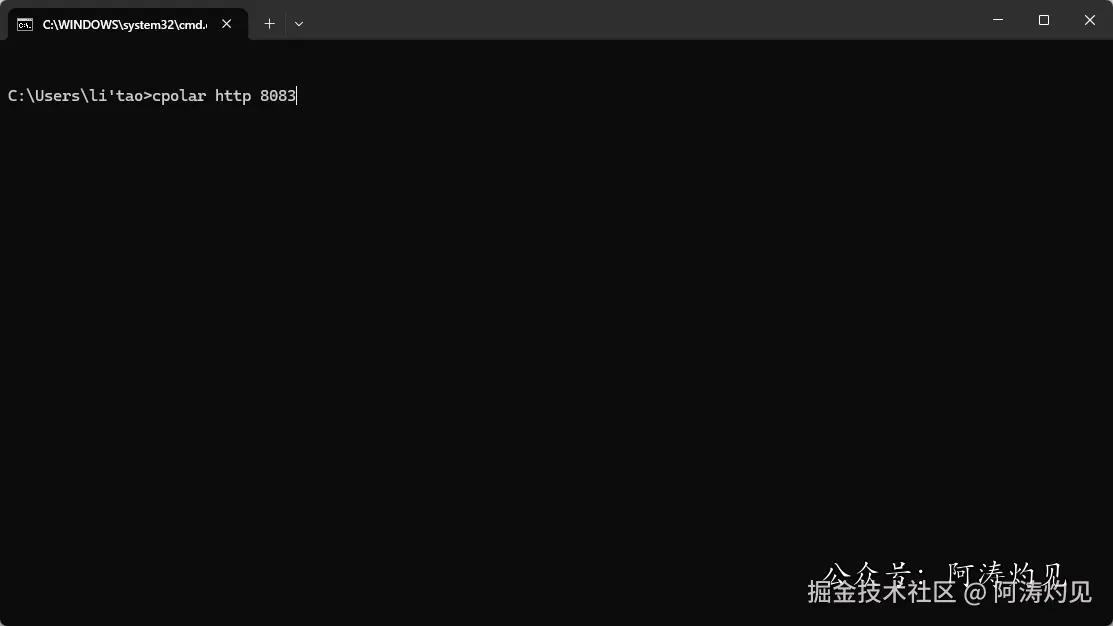 cpolar-cmd-start.png