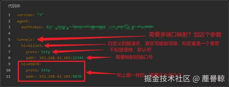 编辑ngrok.yml映射多个端口