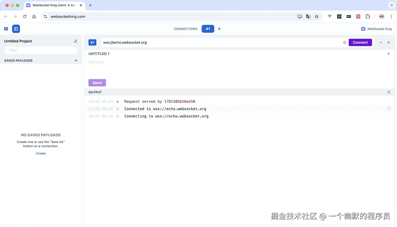 WebSocket King 界面