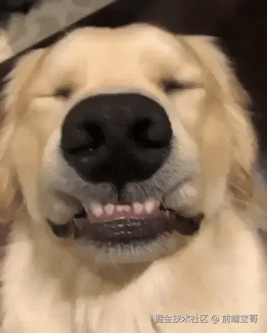 动图展示了一些 CSS 特性效果