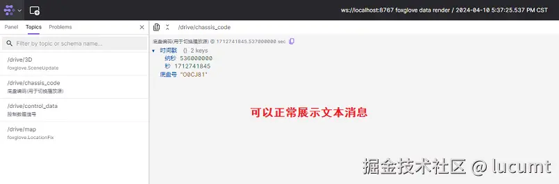 "foxglove正常展示消息"