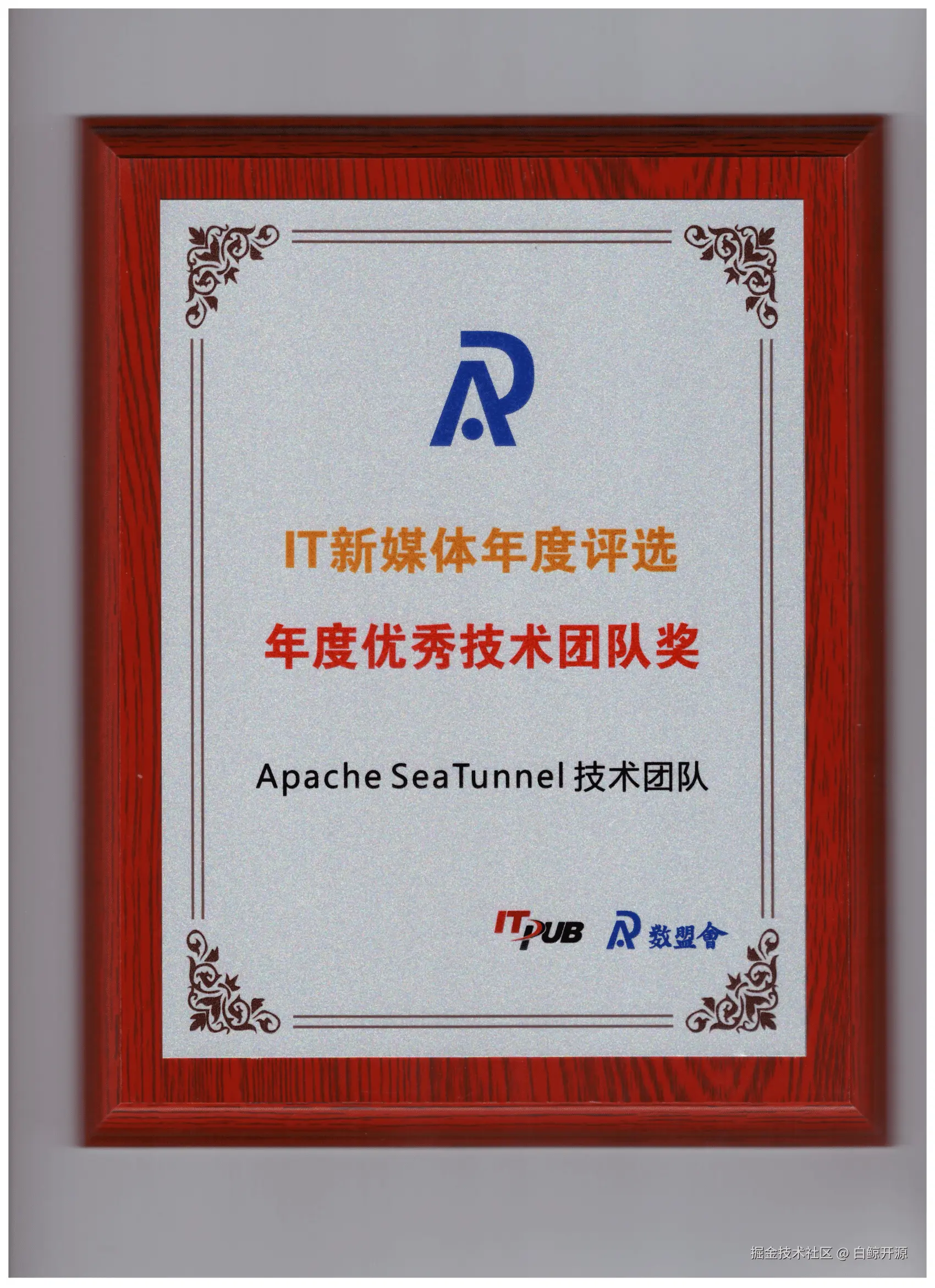 Itpub SeaTunnel-1
